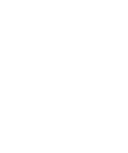 Cyber Essentials Logo